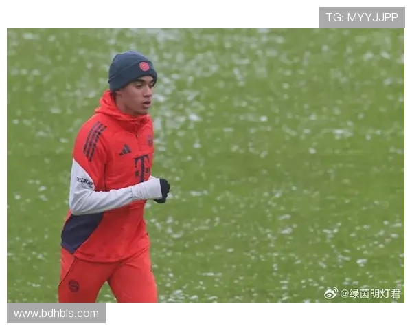 拜仁伤员回归训练备战新赛季